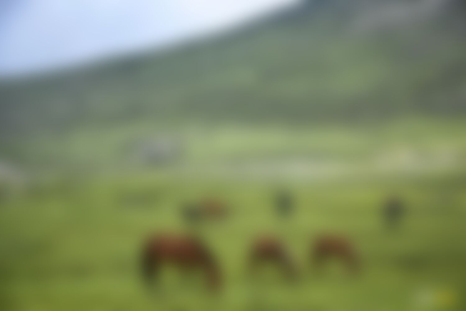 low-preview-9eb4e031 a094 4891 a7ba b4ee753bd915 asther valley trek indiahikes nithesh kumar july 2022 website resolution 9