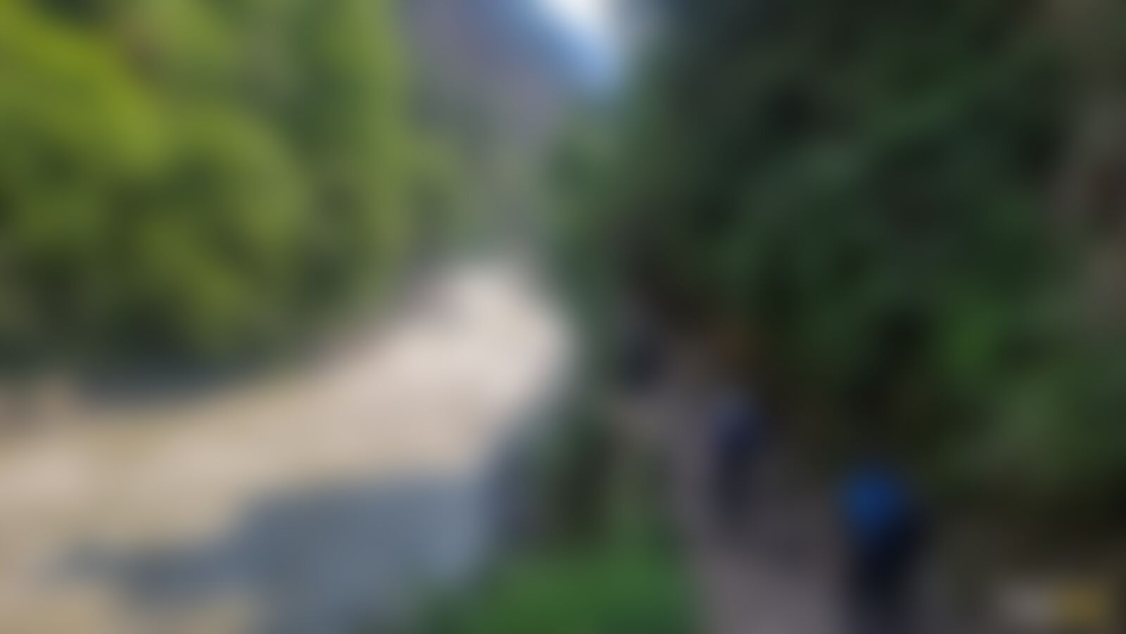 low-preview-9f5b0003 1a12 4378 8e7a 4c971239dec1 har ki dun trek dhaval jajal june 2022 monsoon trek 4
