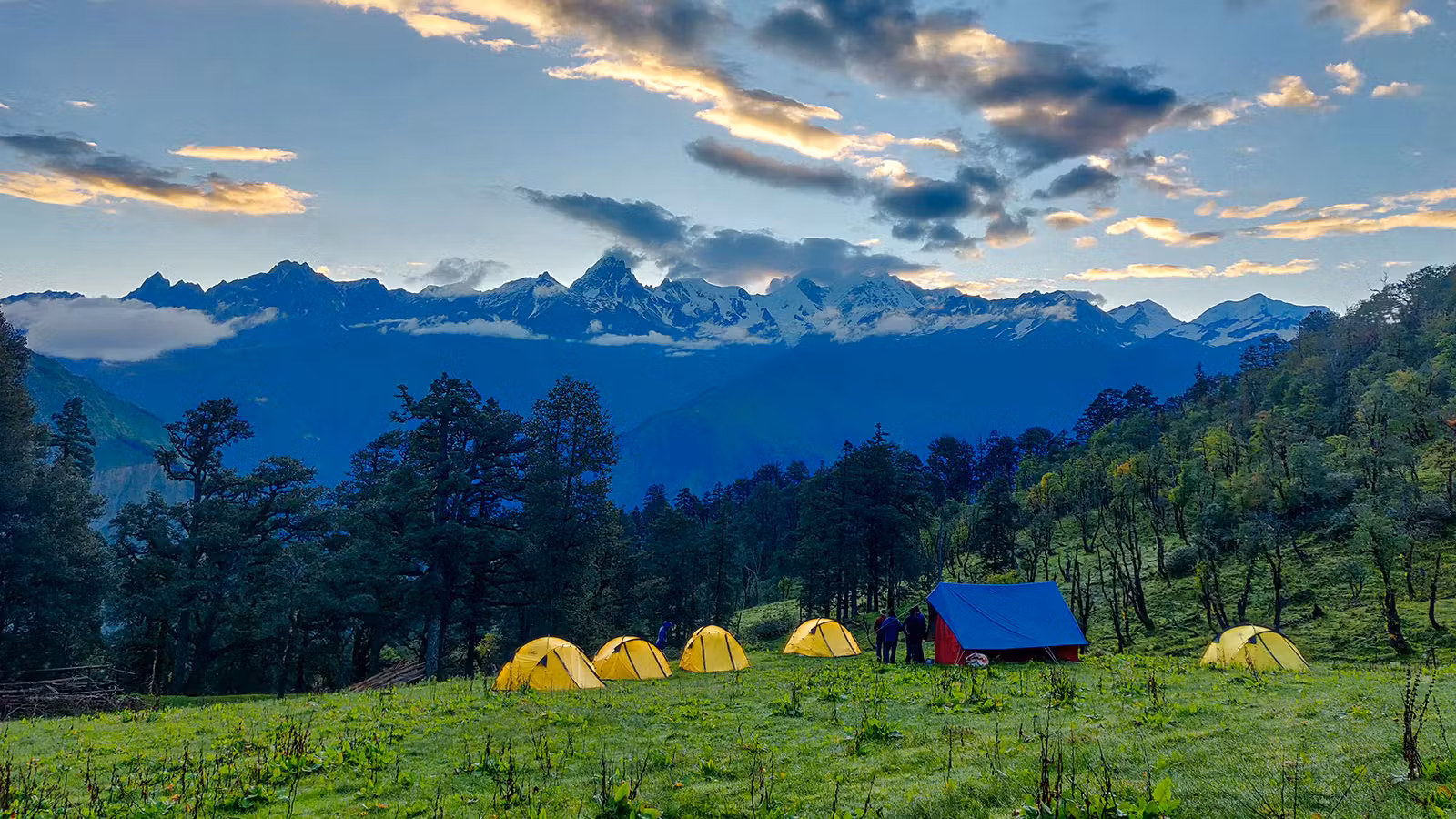 a3539030 2df1 46ca ba66 2c1f136a3c83 gidara bugyal gb nithesh indiahikes  %2819%29