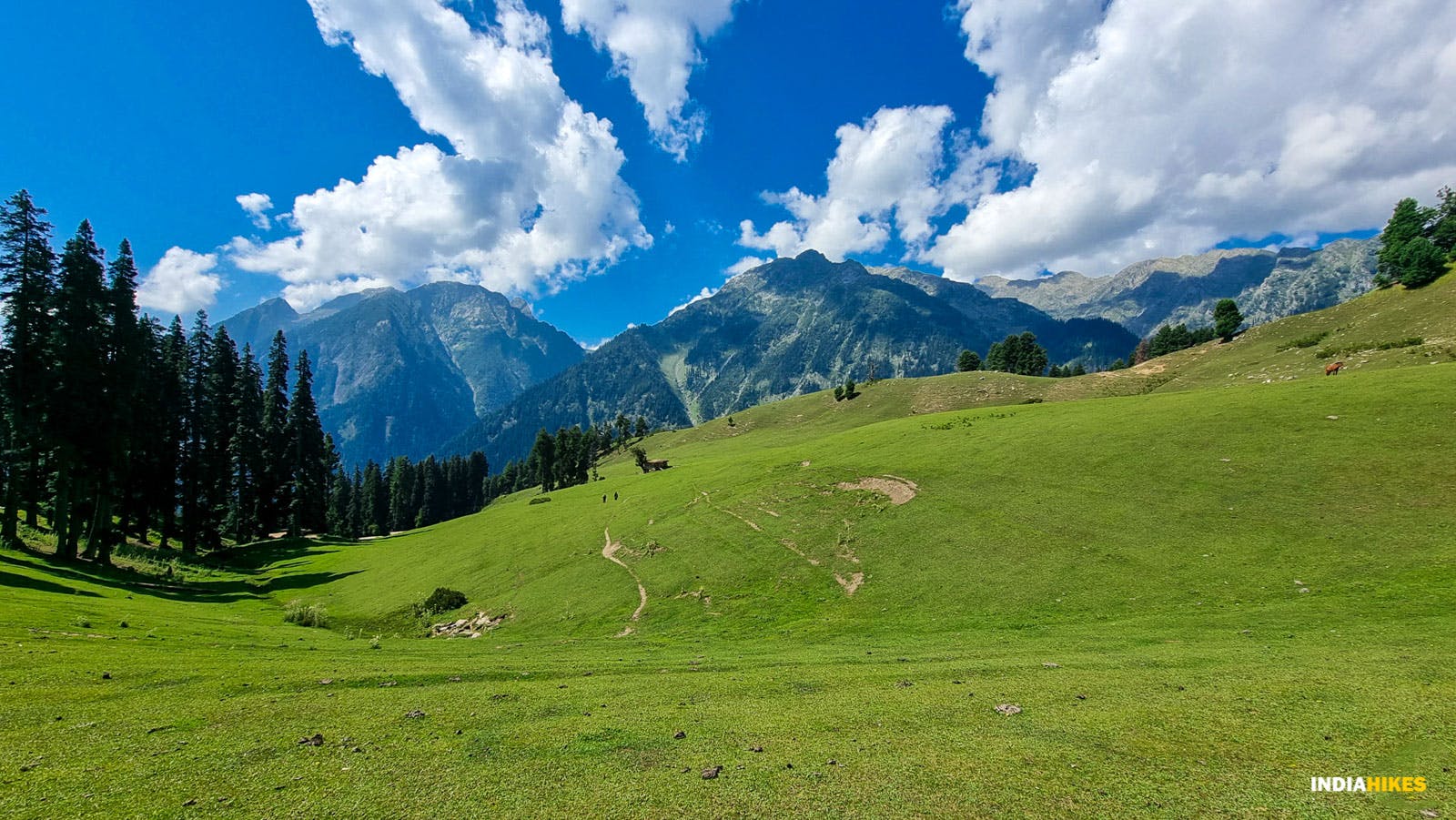 a8fe9722 9d25 4b7c 8a26 990860a0b755 shul margi meadows nafran valley indiahikes
