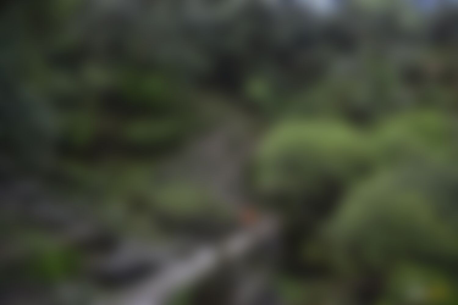 low-preview-aa0a1942 20cc 4559 b503 2609cabdd023 ranthan kharak trek indiahikes nitesh kumar april 2022 website resolution 42