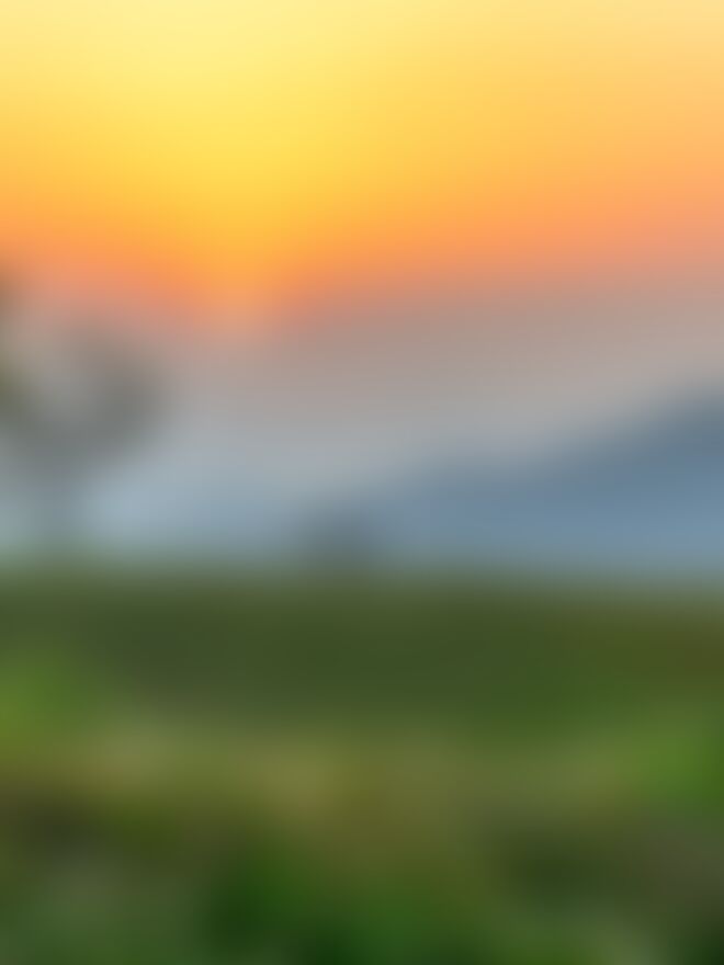 low-preview-b140a2e2 2e1b 49dc 898f 298131edf367 nag tibba nt kumar amrit golden sunset in nag tibba campsite 1