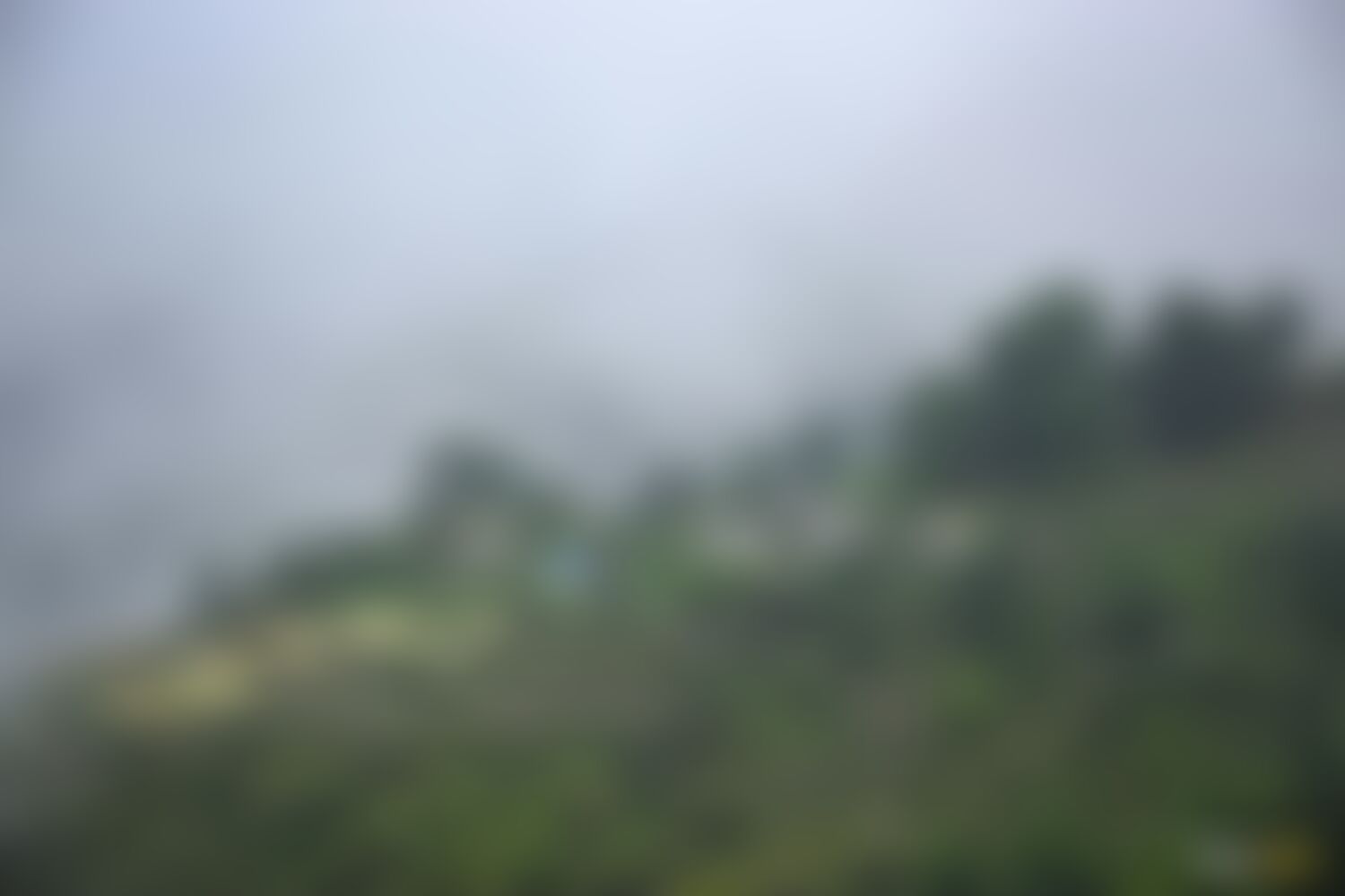 low-preview-b4305dab 1cf0 44b0 b75a b3a77c6ad0fb ranthan kharak trek indiahikes nitesh kumar april 2022 website resolution 17