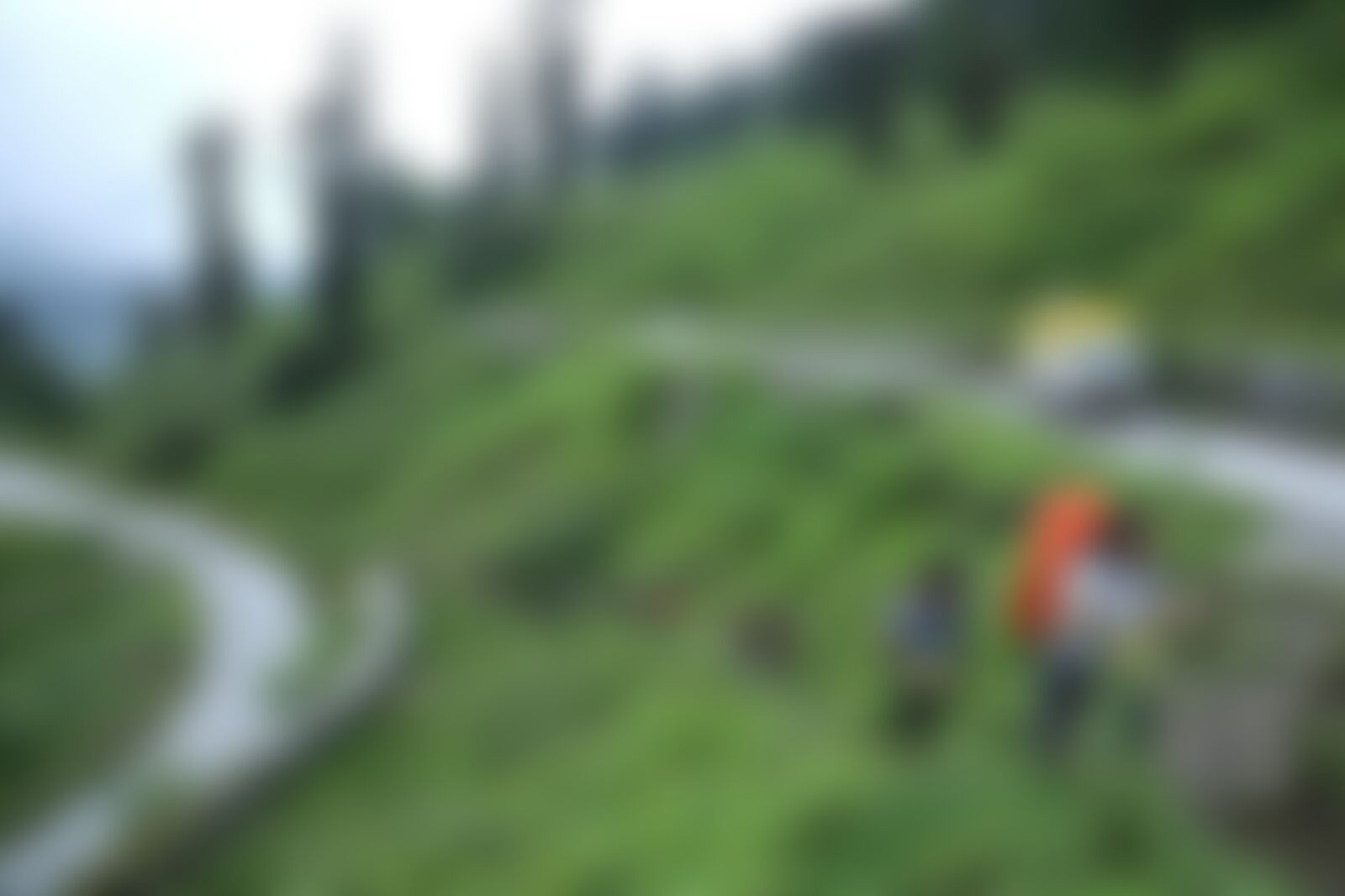 low-preview-b491ea67 ab9c 4938 baf6 e983a28ef310 bhrigu lake bl indiahikes jothiranjan august 202 3