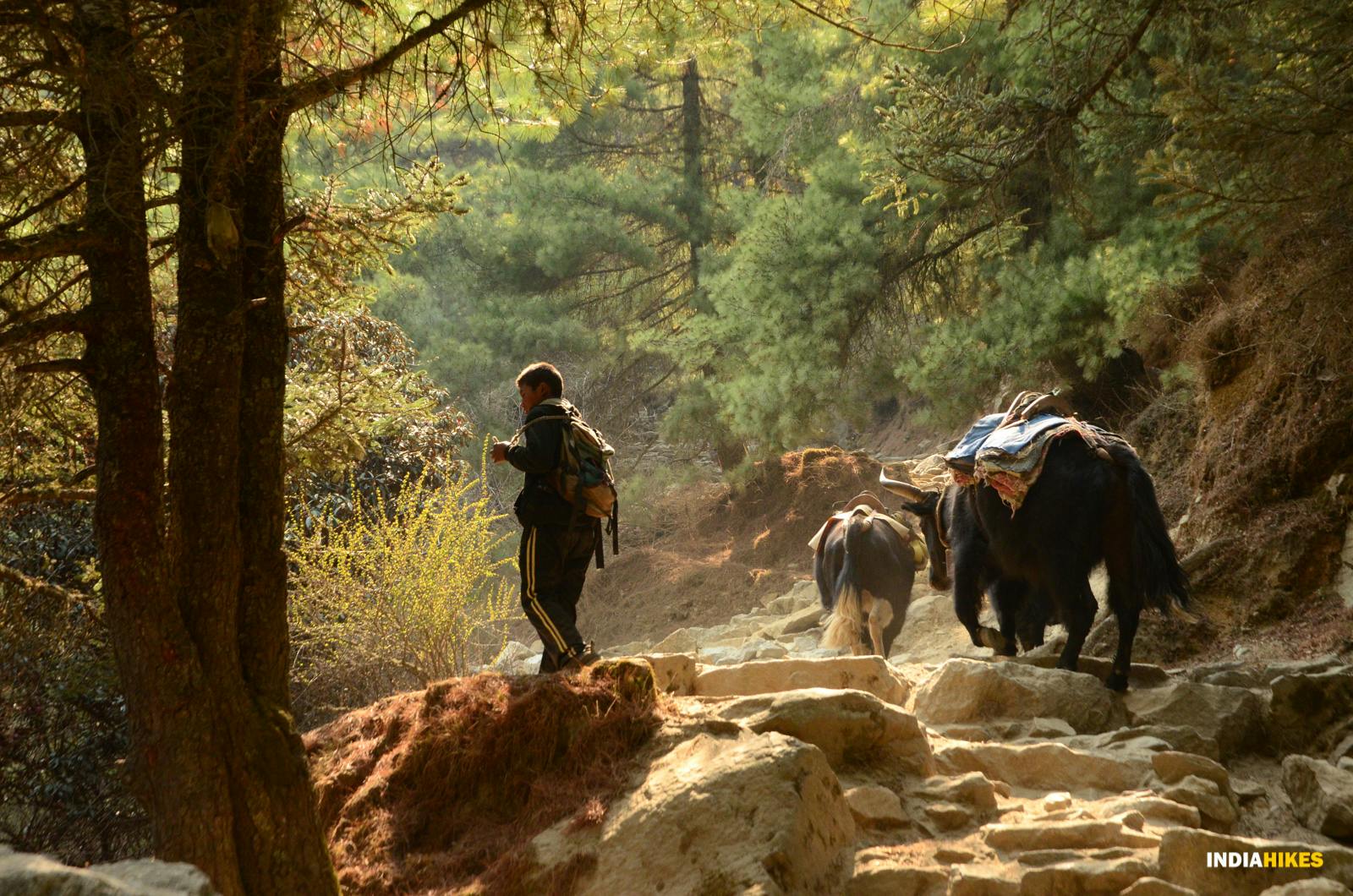 c9fbe30d af9e 47f4 bd92 3a592591efe6 everest base camp ebc arun nayak 13