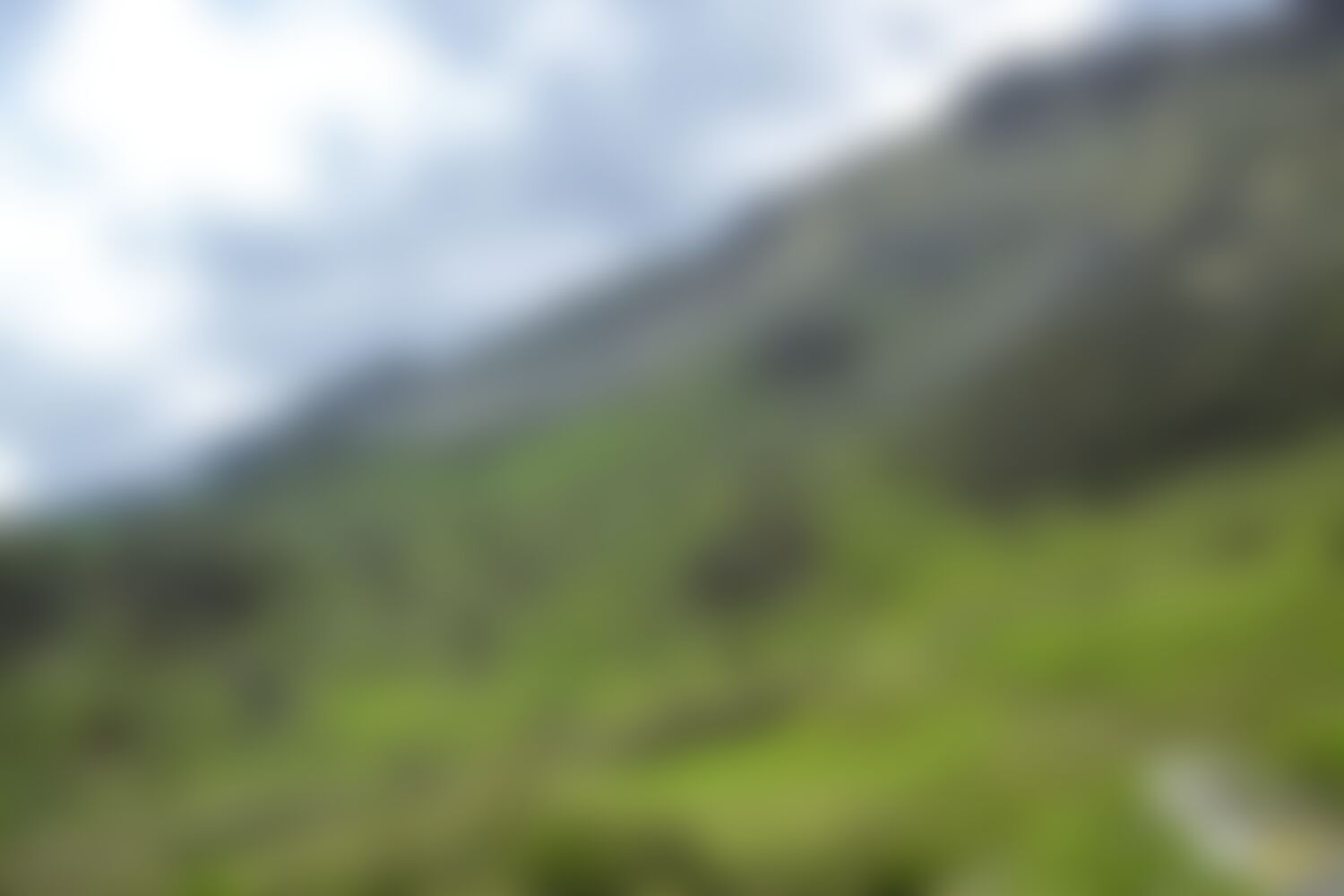 low-preview-d3586630 0be8 427a b1d4 6d14bf664b35 ranthan kharak trek indiahikes nitesh kumar april 2022 website resolution 70