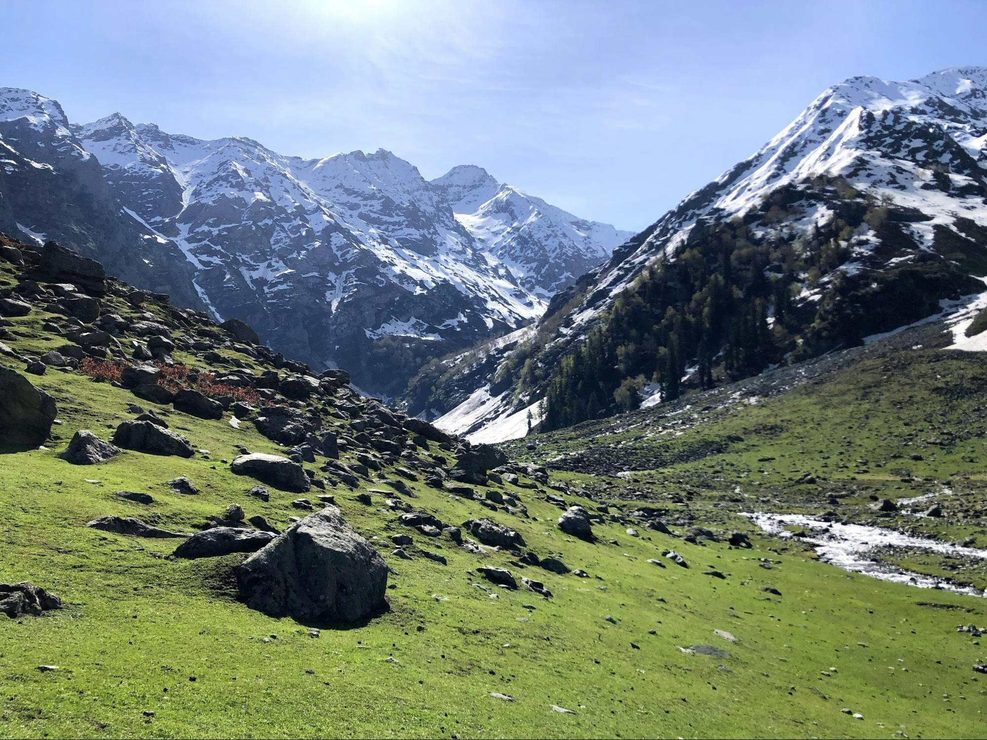 d3ac425d 1a18 4624 8d40 d4e3dde4e6f3 tulian lake trek aubaid shah indiahikes5