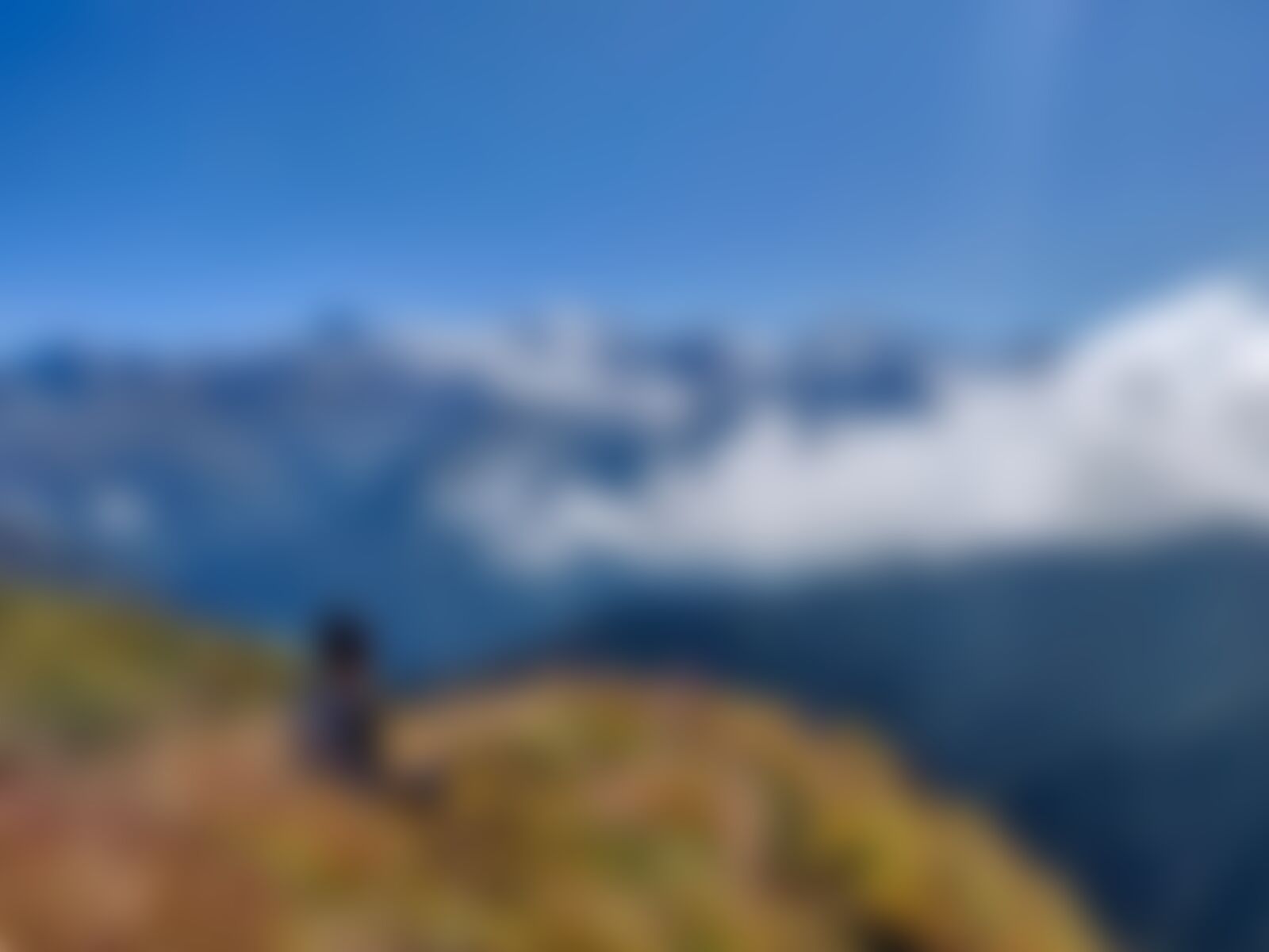 low-preview-d67c4ea8 1bcf 4d26 8ca8 a5f2a805d899 gidara bugyal gb nithesh indiahikes  %2845%29