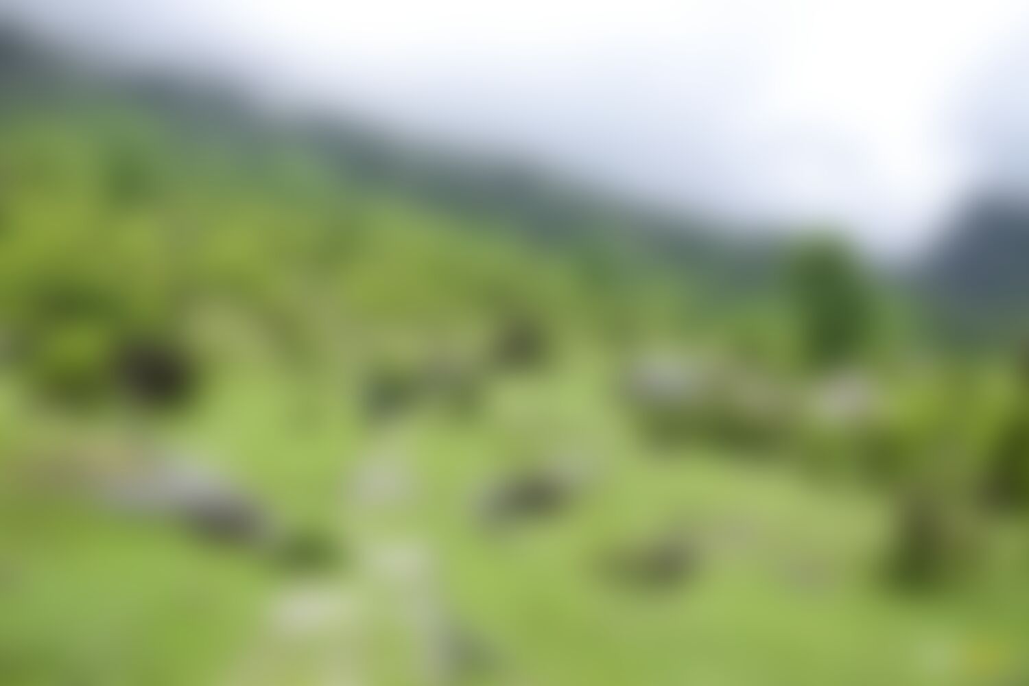 low-preview-d7c43f46 814a 4581 8443 9a7b42356e44 ranthan kharak trek indiahikes nitesh kumar april 2022 website resolution 25