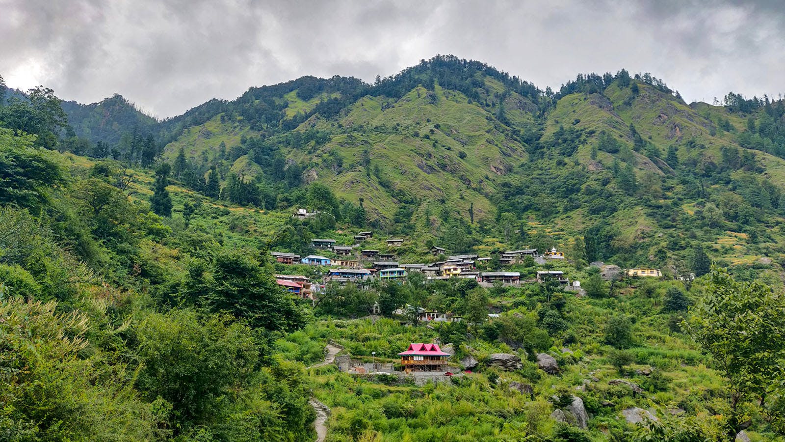 d8774bb9 aa80 4164 900d ea9bdb92dce8 gidara bugyal niteish indiahikes 3
