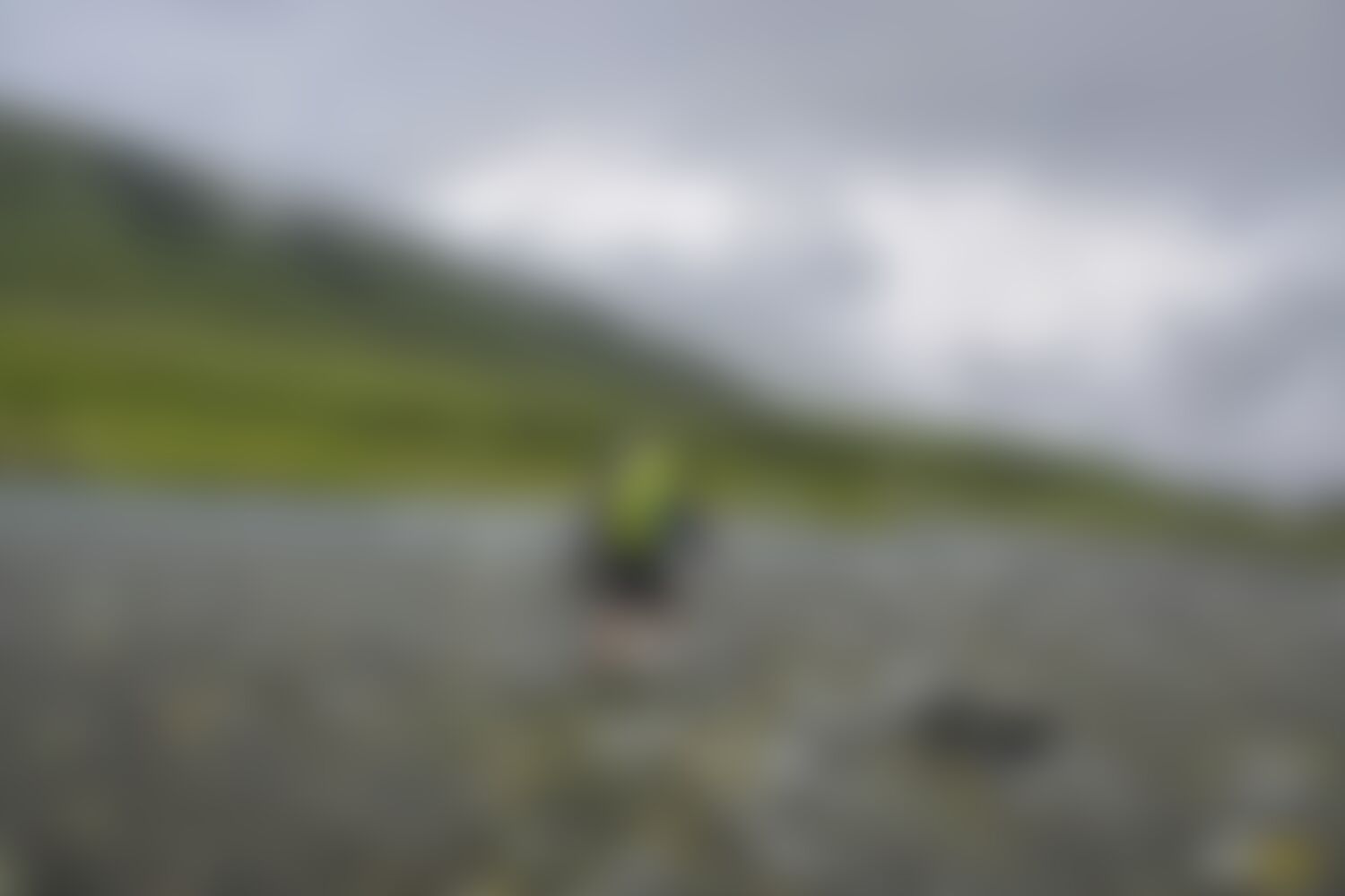 low-preview-d8f532a0 d87d 4e17 b79f 7b68edd854b3 asther valley trek indiahikes nithesh kumar july 2022 website resolution 8