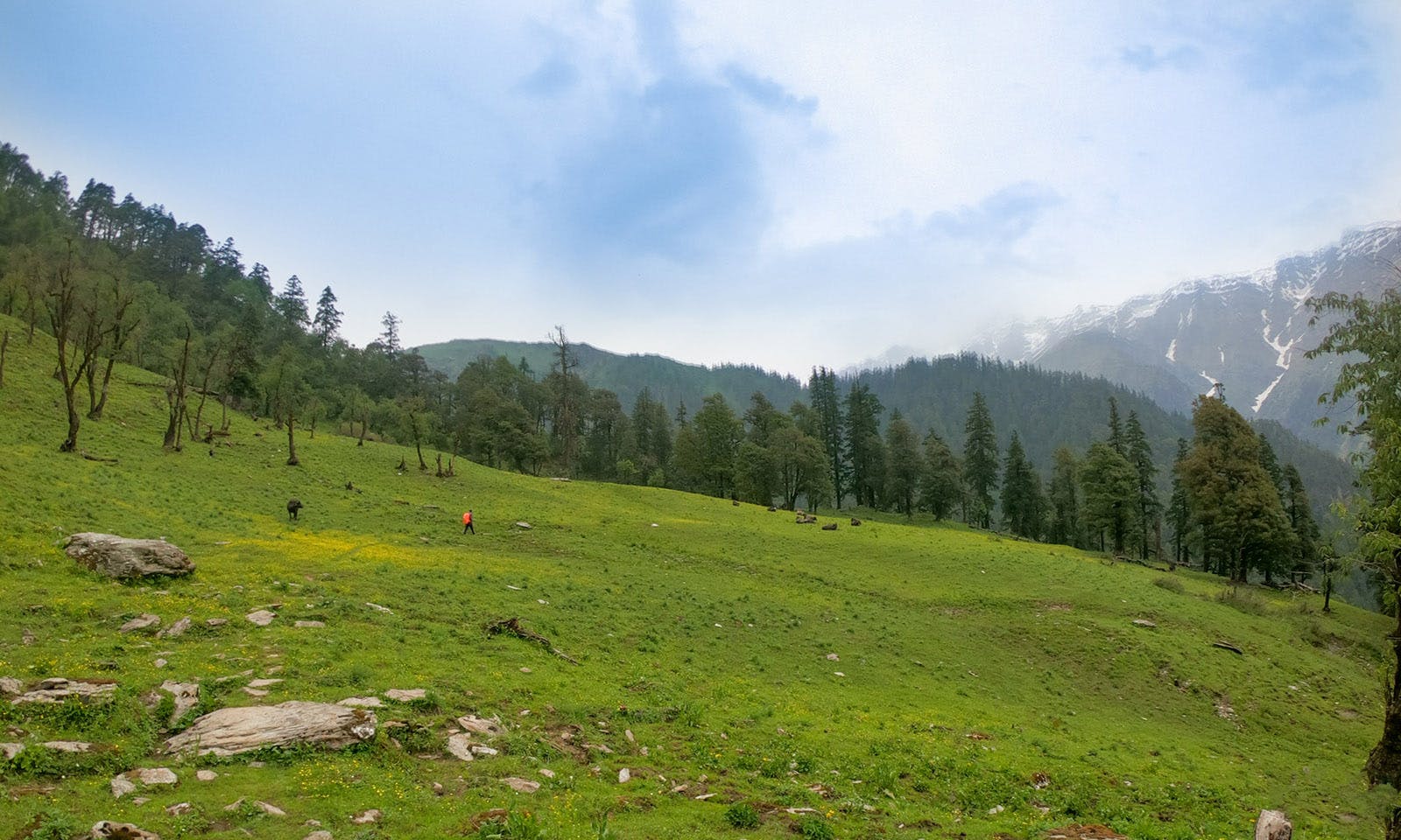 dafe8003 b53b 4307 8cae d6c427bce394 gidara bugyal trek indiahikes akshay aralikatti 3 14