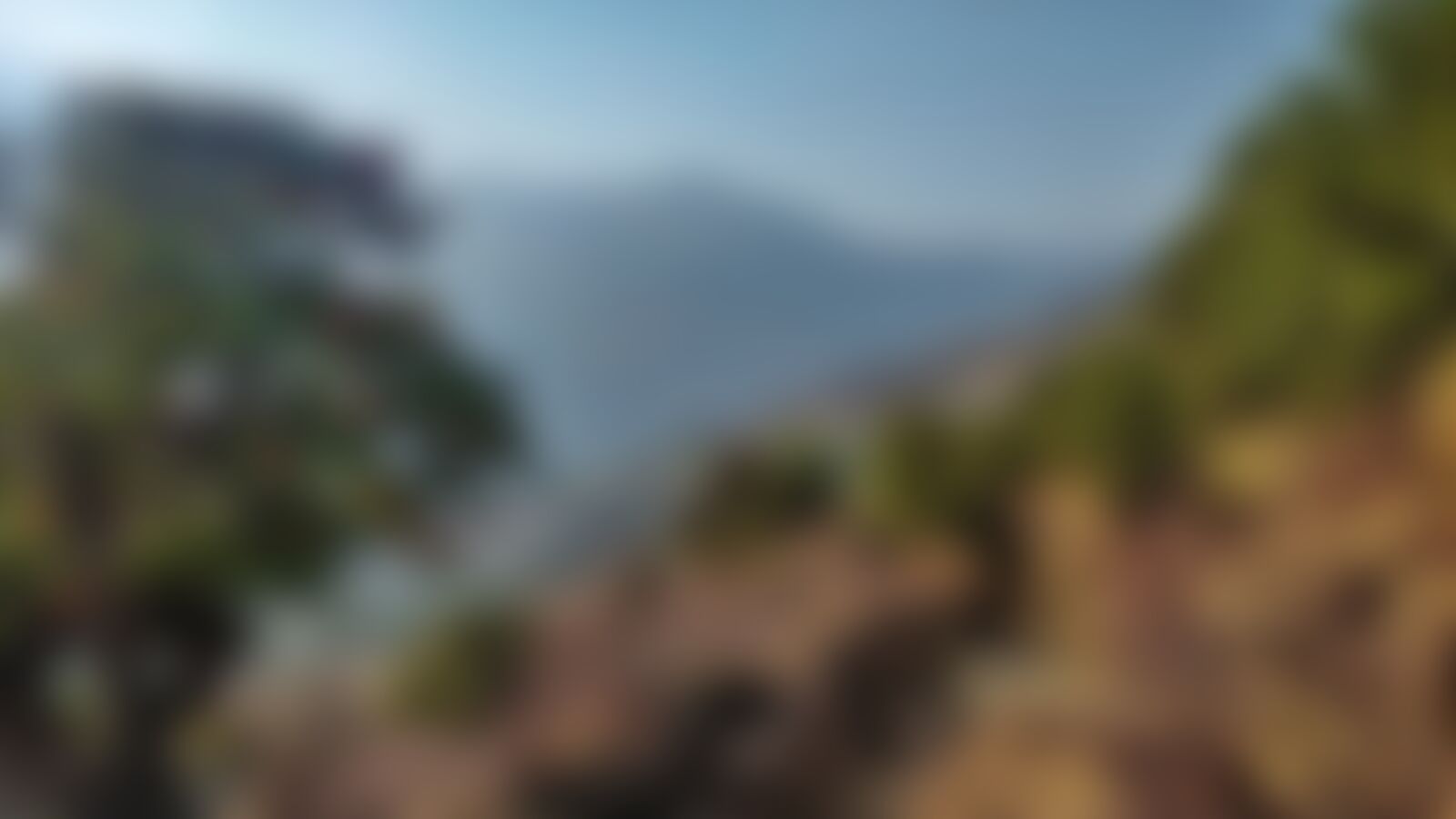 low-preview-e3c31e51 90b7 4d86 a95a 7451d9682c3e ali bedni ab dhaval indiahikes spring 18