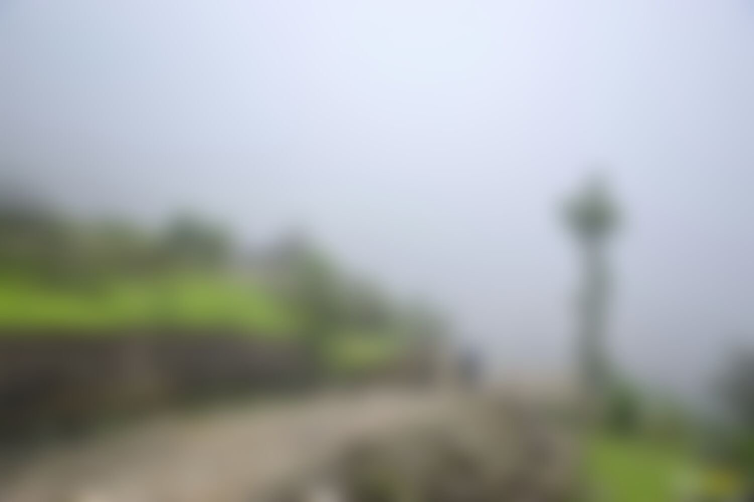 low-preview-e544c246 a741 4a8e 805d 745af44404d2 ranthan kharak trek indiahikes nitesh kumar april 2022 website resolution 8