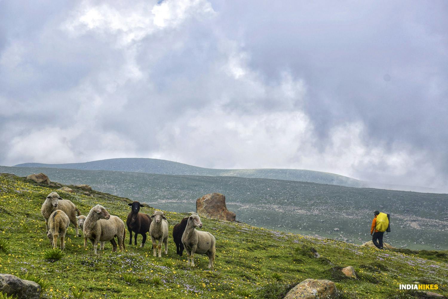 e5965523 4f9c 419d 8417 10a03c9262b4 asther valley trek indiahikes nithesh kumar july 2022 website resolution  16