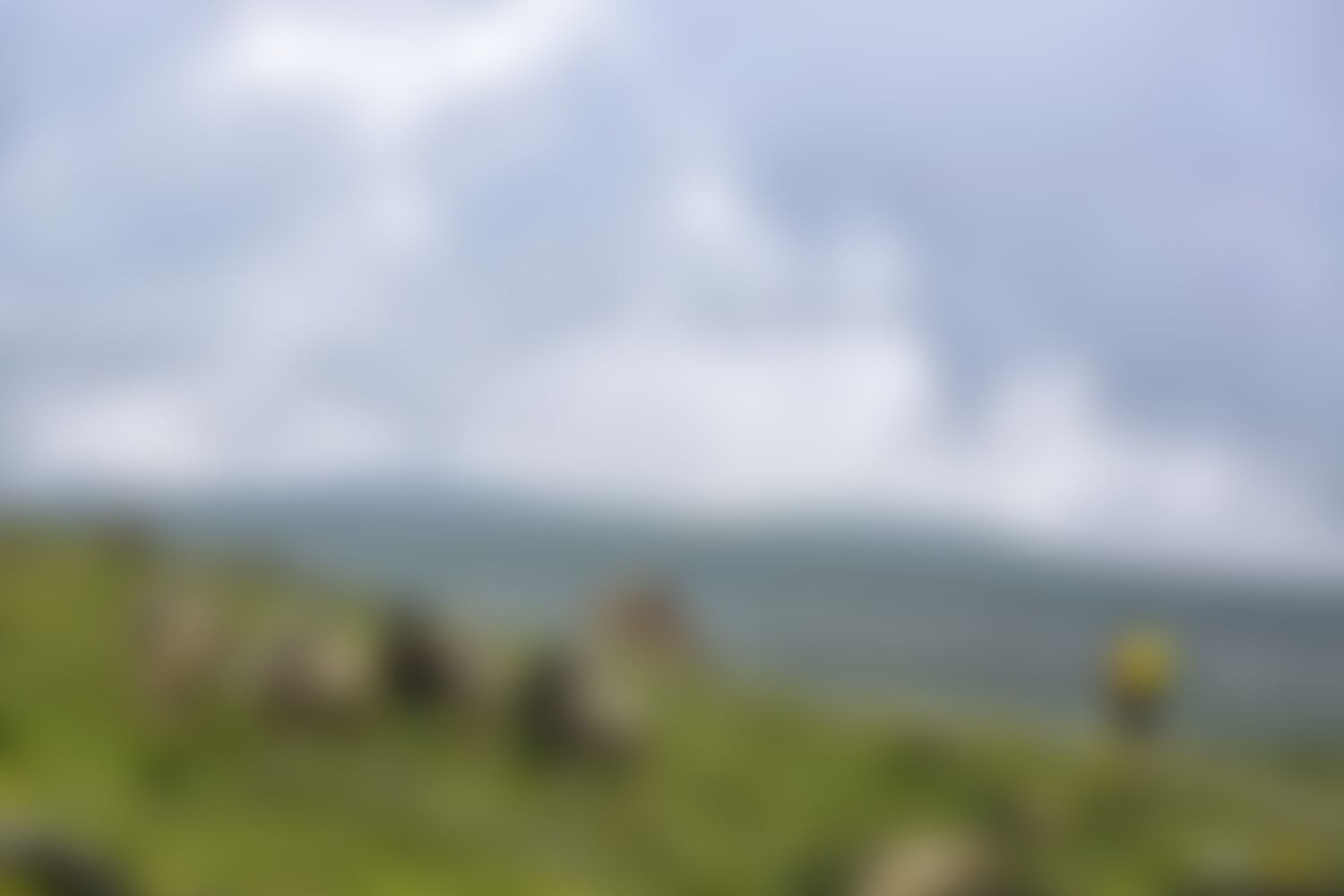 low-preview-e5965523 4f9c 419d 8417 10a03c9262b4 asther valley trek indiahikes nithesh kumar july 2022 website resolution 16