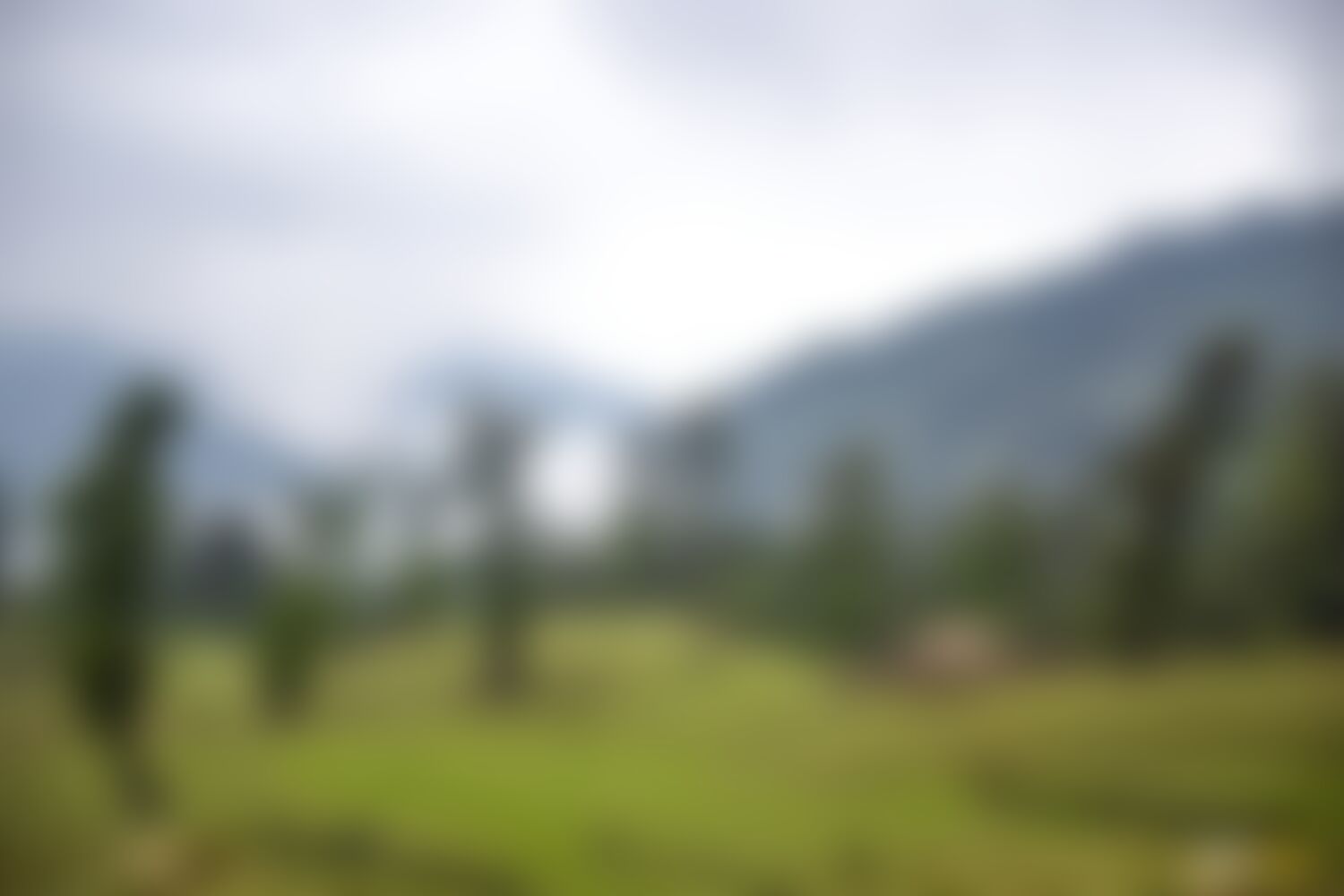 low-preview-e8cd8582 c672 4e6d be3d 3e6df7965ef2 ranthan kharak trek indiahikes nitesh kumar april 2022 website resolution 40