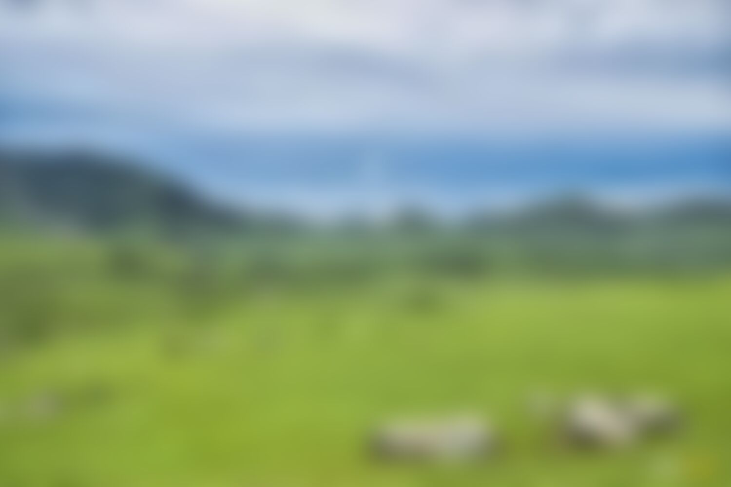 low-preview-ebe44200 45ac 4e21 aa9a 81bff29da446 asther valley trek indiahikes nithesh kumar july 2022 website resolution 38