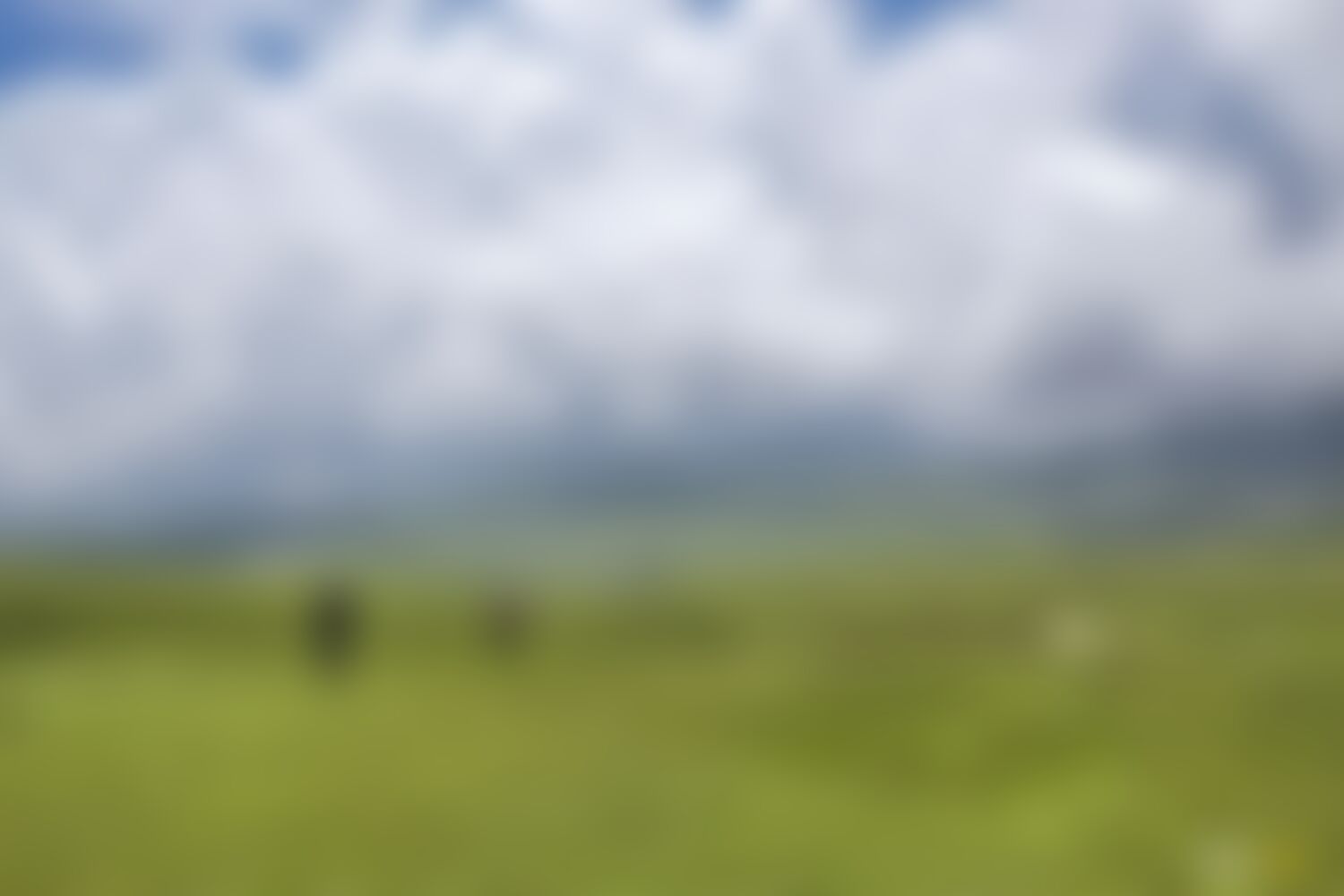 low-preview-ef027b40 3d49 40fc 8458 8b02958f8006 asther valley trek indiahikes nithesh kumar july 2022 website resolution 11