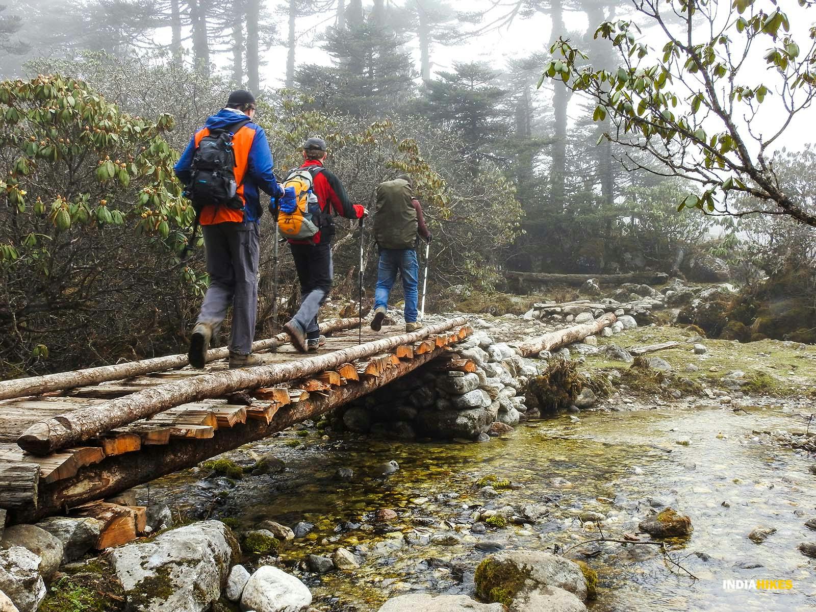 f0766adb 6a68 43f5 adfd 73891c7077da goechala gcl indiahikes archive forest section 