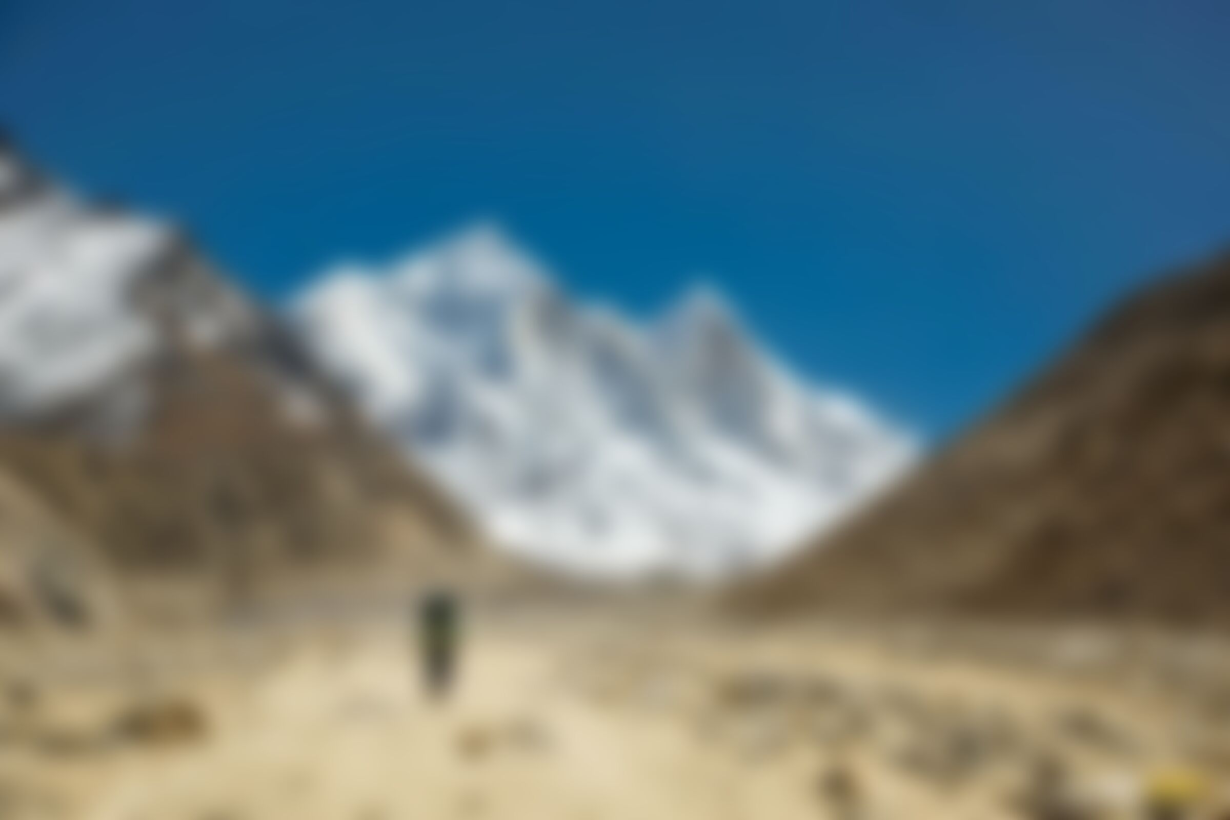 low-preview-f322ad21 2d7a 43b0 9f98 74b7838cd00d gamukh tapovan jothiranjan autumn season october 2022 trekkers on trail towards gamukh galcier 