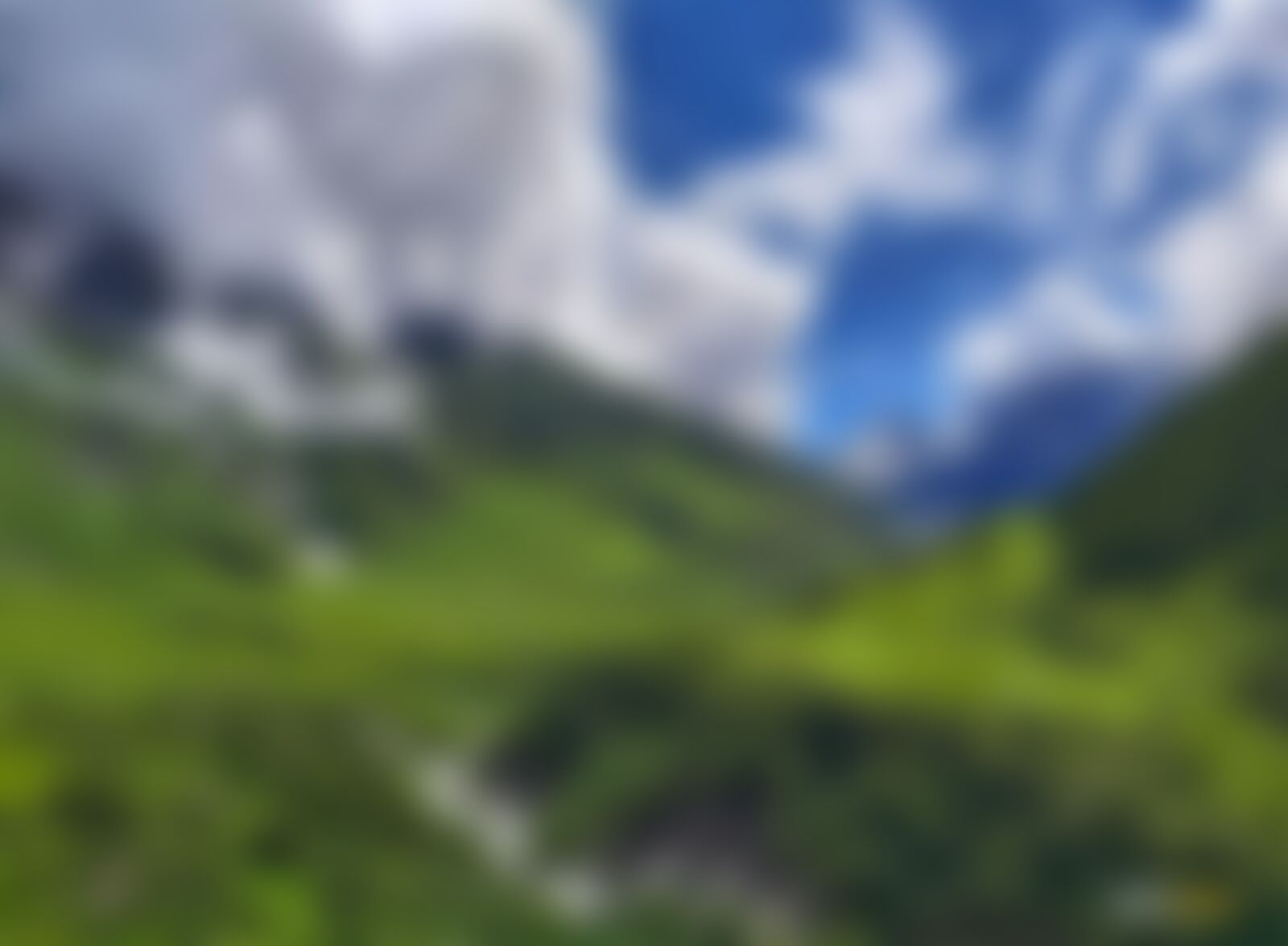 low-preview-f368113e 5365 48d2 828a 03ea62dd80c2 valley of flowers vof kavya ps shades of greeeeeeeeeeen