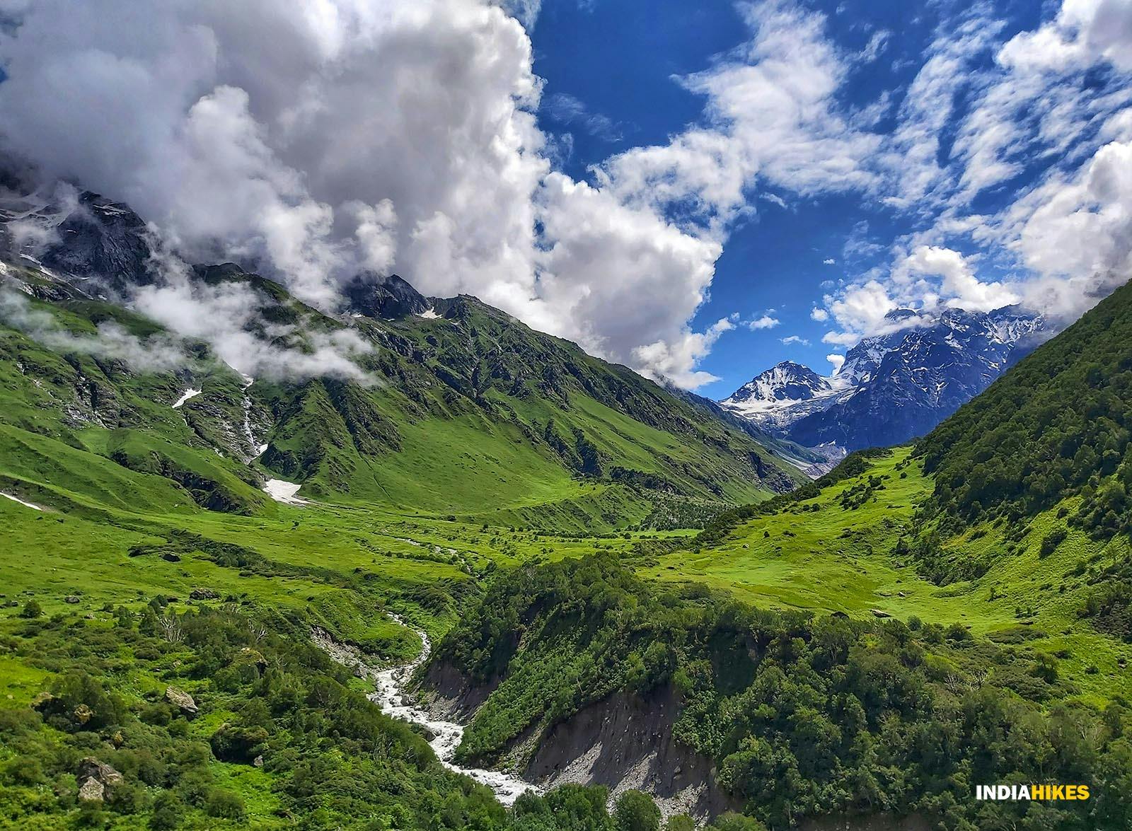 f368113e 5365 48d2 828a 03ea62dd80c2 valley of flowers vof kavya ps   shades of greeeeeeeeeeen