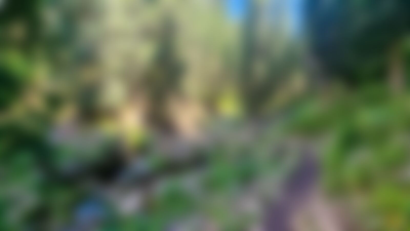 low-preview-f8d30581 2ba1 468a be9b 33813bf2fec7 20210902 101004