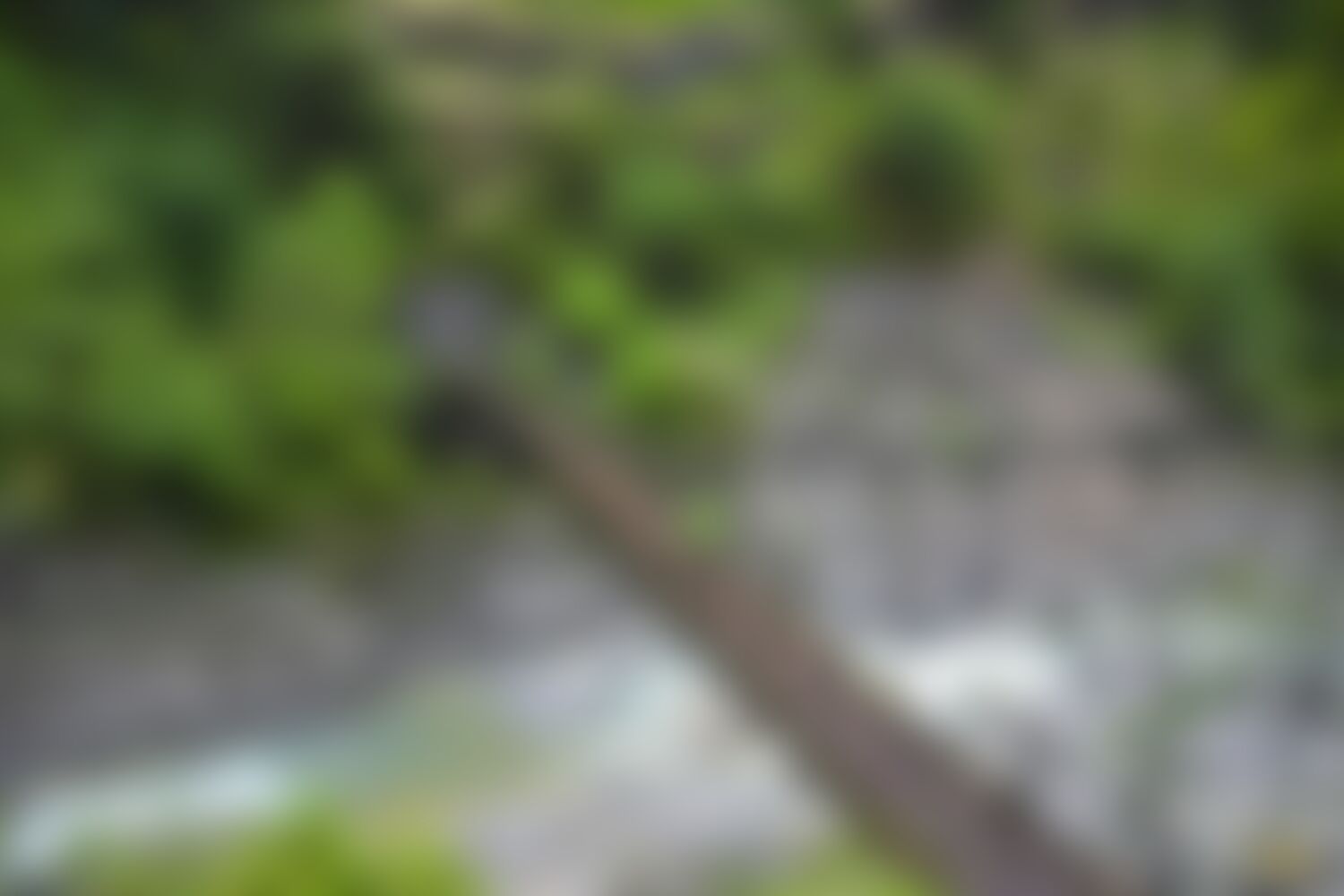 low-preview-fdf28d96 0c0a 49f7 b824 57835af97b97 ranthan kharak trek indiahikes nitesh kumar april 2022 website resolution 14