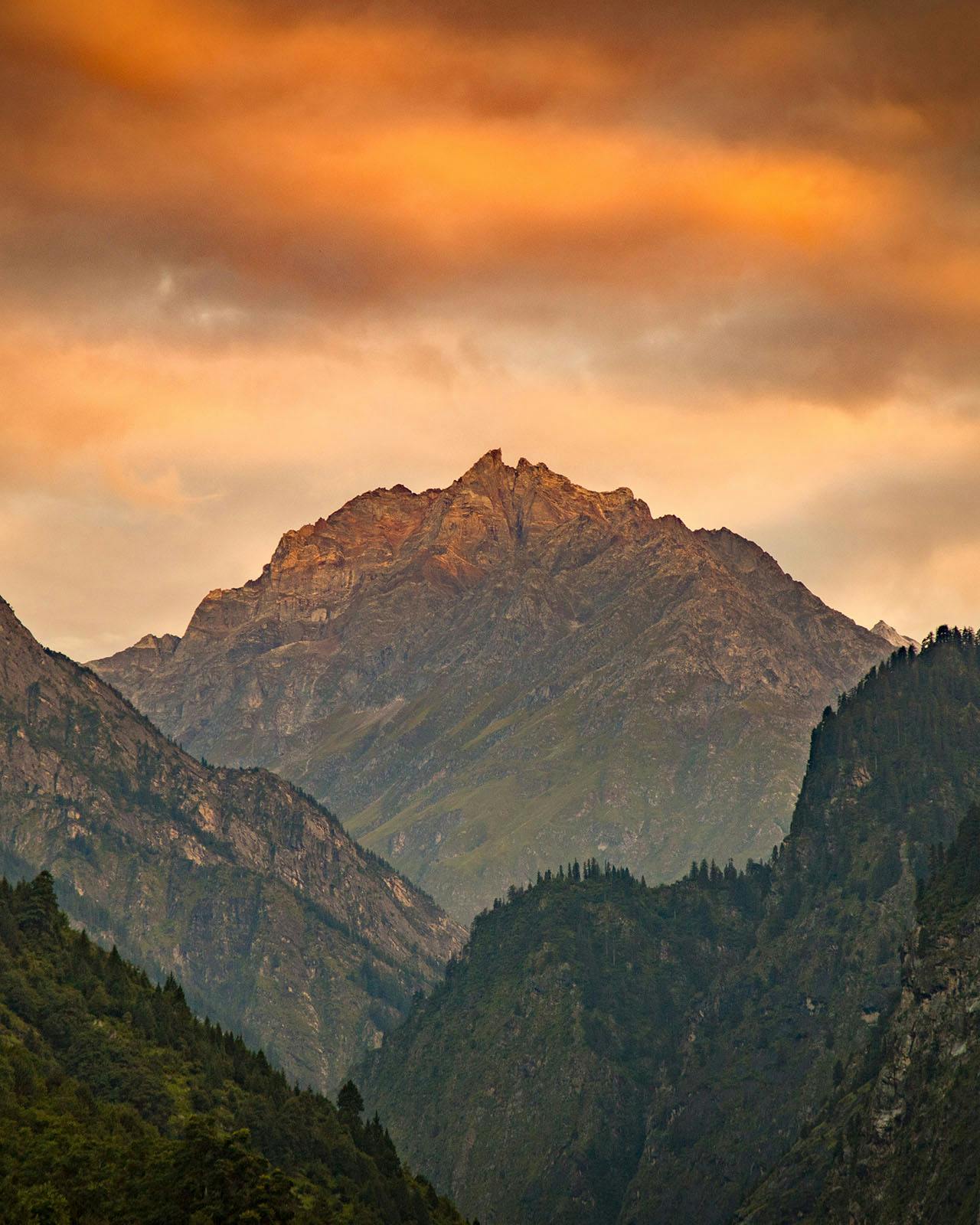 ziedifpdc1huksig valleyofflowers vof jeffrobson sunriseinthevalley