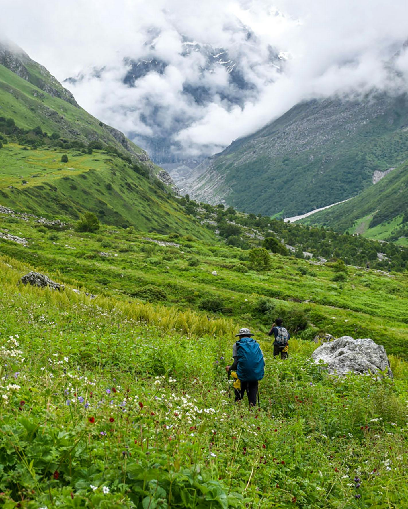 ziedippdc1huksif valleyofflowers nithesh july2021  53 