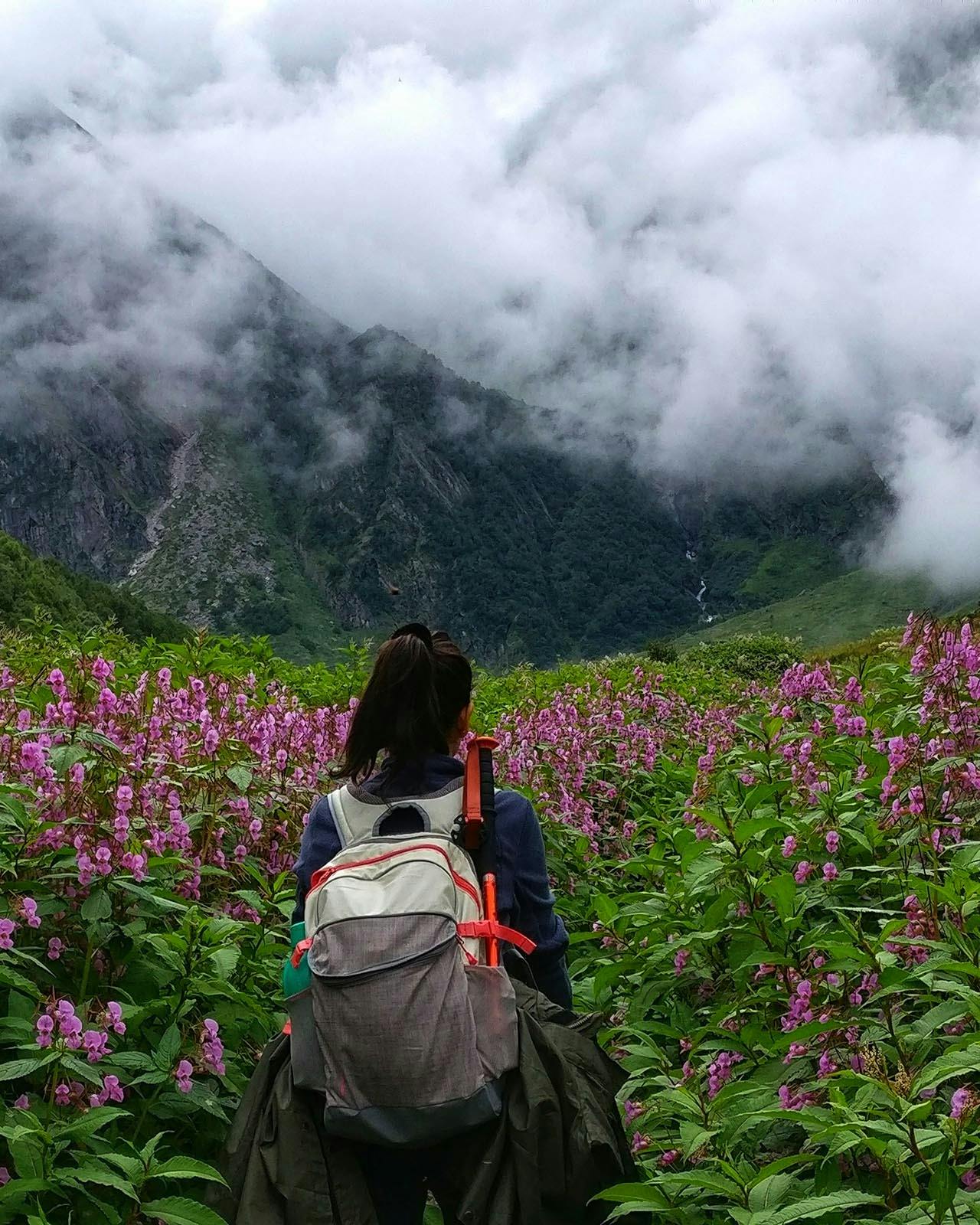 ziedivpdc1huksih valleyofflowers vof kentpawar hikeronthevalleyofflowerstrail 1 