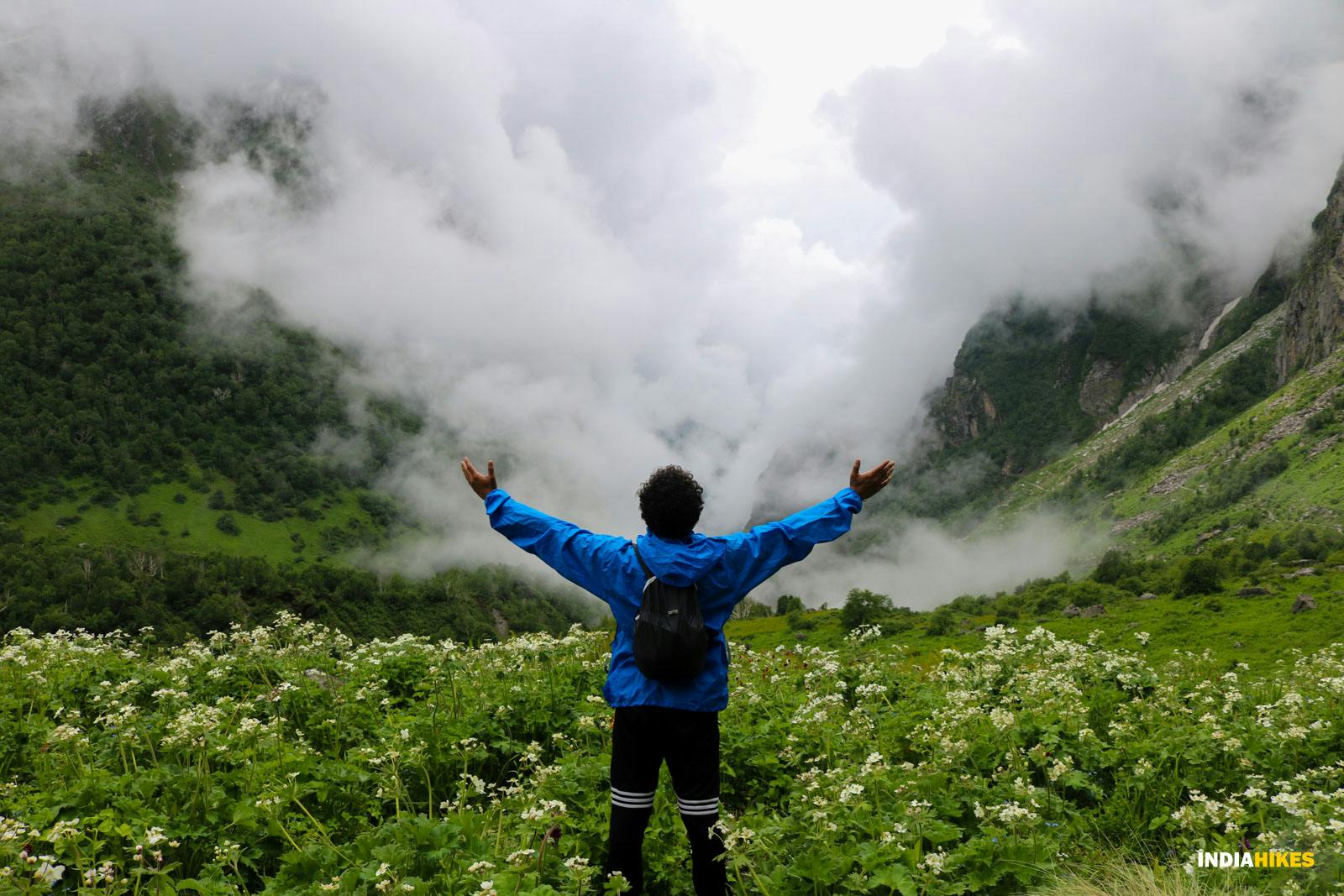 ziipfppdc1hukucc valleyofflowers vof arpitagarwal inwonderland 1 