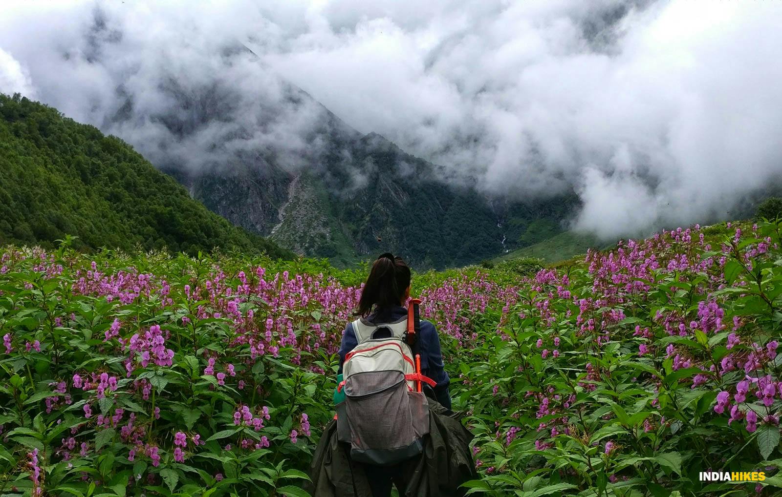 ziipgppdc1hukucn valleyofflowers vof kentpawar hikeronthevalleyofflowerstrail 1 