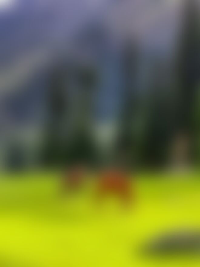 low-preview-zjth kmtzajochpu tarsarmarsar tm gourabnandy landscape 1 