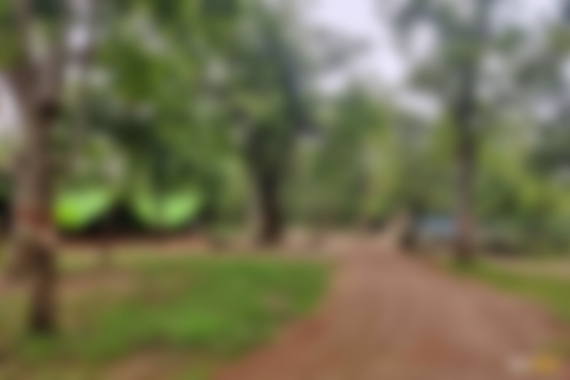 low-preview-zpslrr5lenntxjpo 104 1