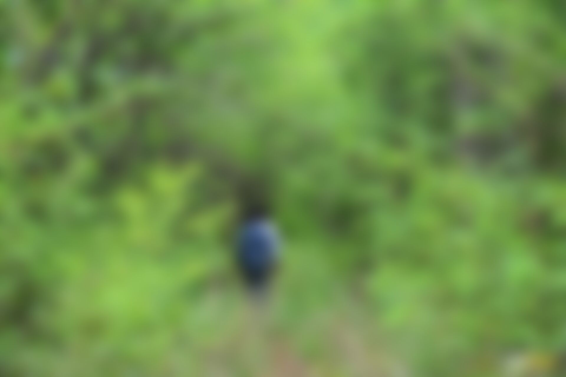 low-preview-zpss r5lenntxjrz 34 1