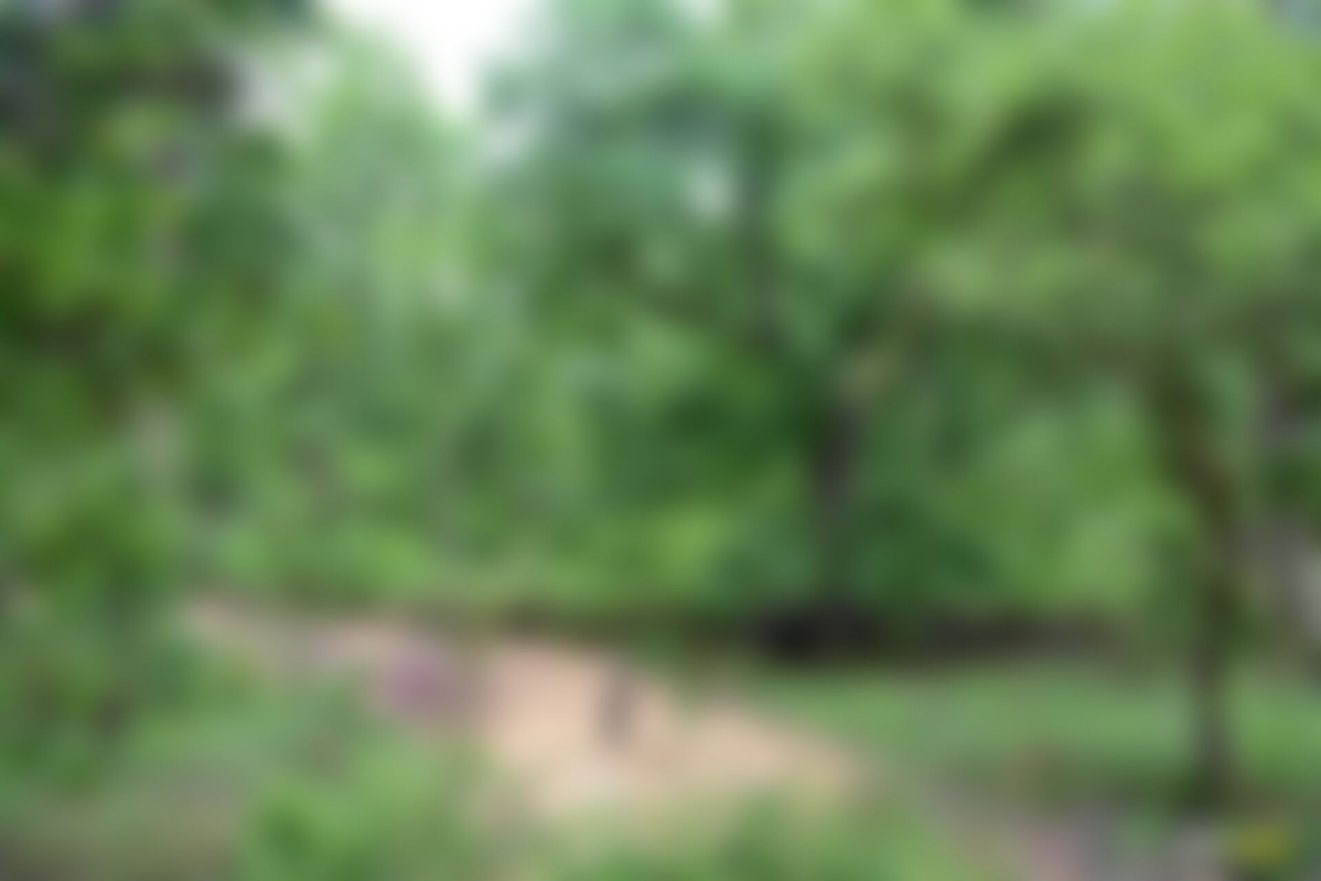 low-preview-zpss9x5lenntxjry 65 1