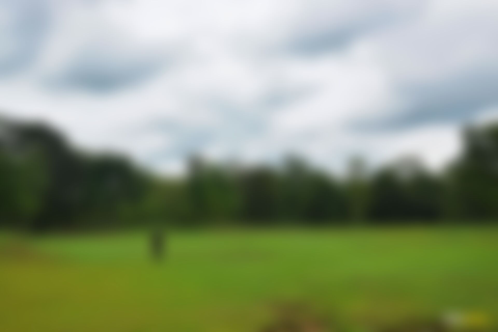 low-preview-zpsuxb5lenntxjr0 70 1