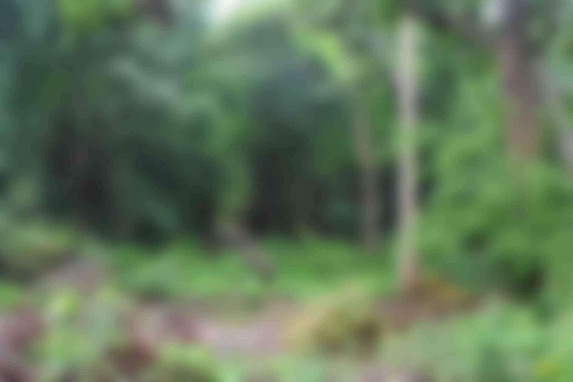 low-preview-zpsvfh5lenntxjsl 154 1