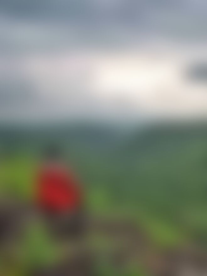 low-preview-zpsvgb5lenntxjsn 178 1