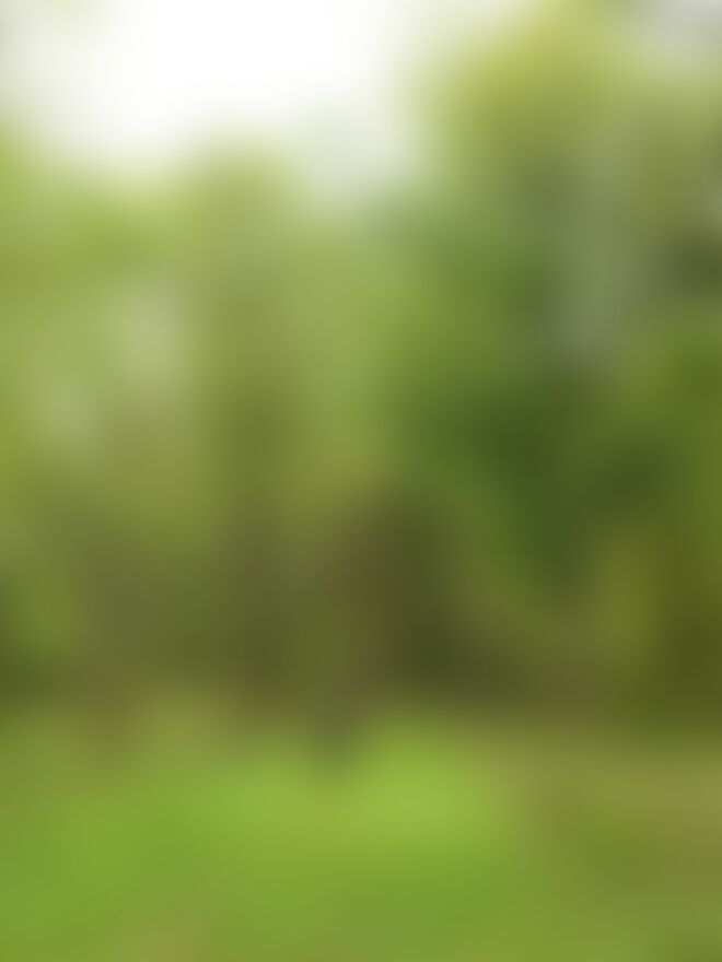 low-preview-zpsxvb5lenntxjsj 58 2 1